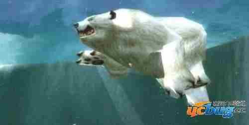 魔兽世界怀旧服游荡的冰爪熊在哪里 游荡的冰爪熊位置介绍