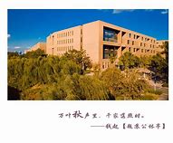怎么关了手机广告