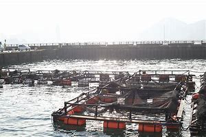 哪家叫卖最动听 各种经典叫卖声音真好听 最后一个听饿了