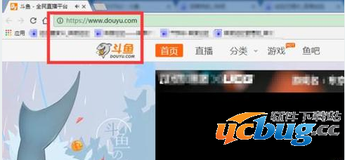 斗鱼TV电脑端怎么切换线路