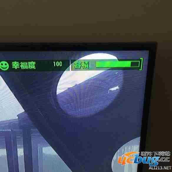 《辐射4》仁慈的领导者奖杯怎么达成？