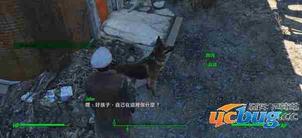 辐射4狗肉