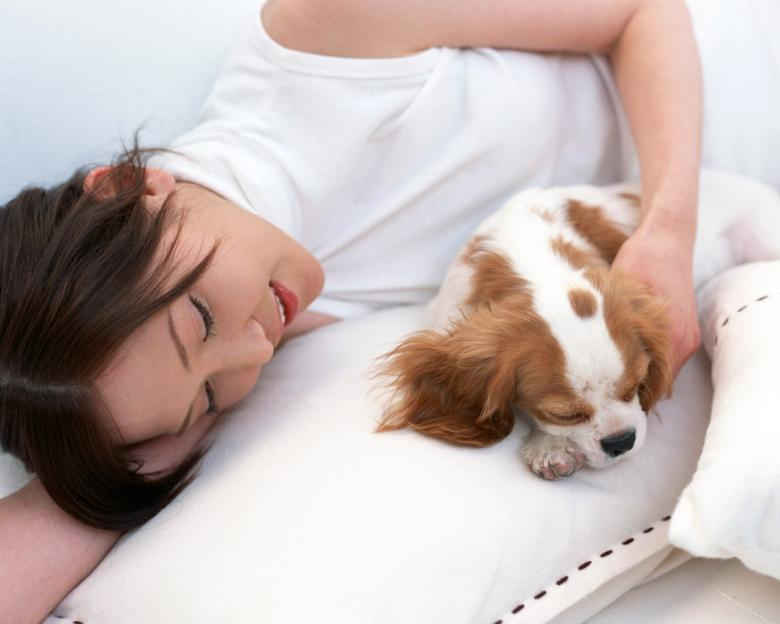 丝瓜芭乐秋葵鸭脖幸福宝app