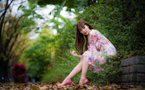 不用登录的黄台app下载