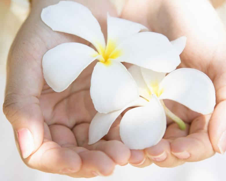 花季传媒app免费下载安装