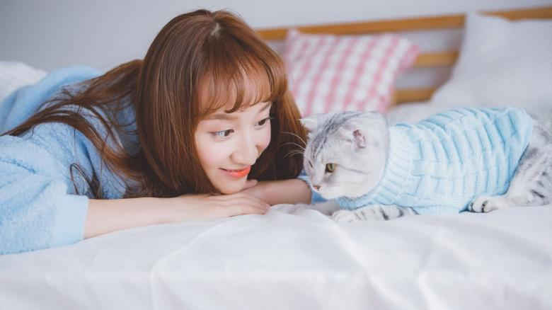 丝瓜香蕉芭乐鸭脖小猪下载