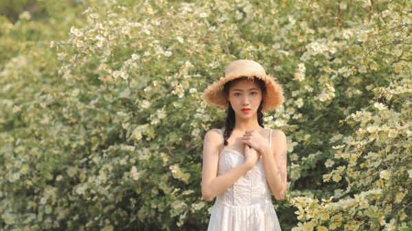 绿巨人视频www在线下载