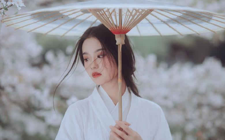 樱花草视频在线观看高清免费大全