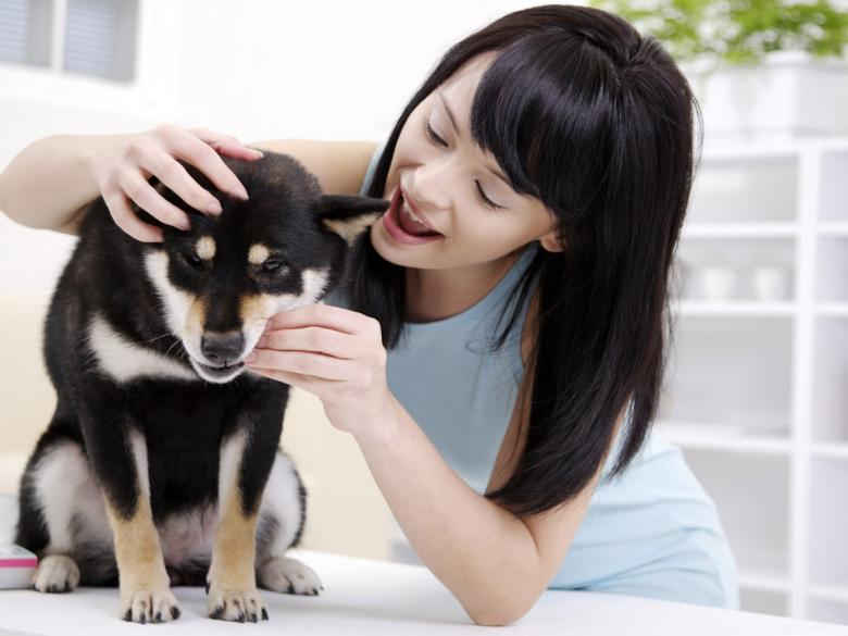 丝瓜草莓福利app导航