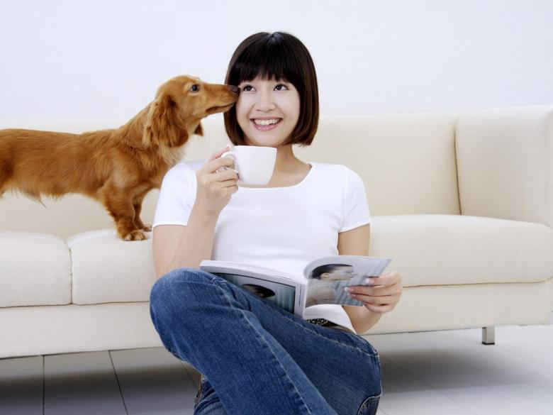 黄色短视频下载