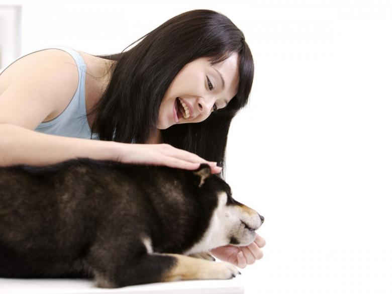 麻豆成人国产传媒一区