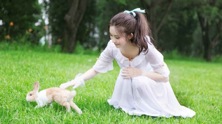 麻豆视传媒短视频网站安卓入口