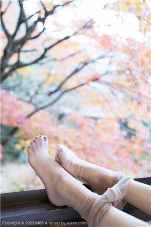 快喵app安卓最新解锁版