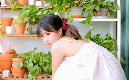 秋葵视频APP下载安装免费看:支持慢猫视频软件播放神器