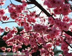 12种常见的门头字招牌类型