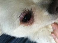 小心，有人偷偷操控你的账号！大量网友反映：微信反复被异地登陆、淘宝账号出现灵异店铺 莫名给人点赞、收藏夹出现奇怪店铺、异地登录发送广告 “我的微博账号今天莫名其妙给我自动关注了20多个人”“一年没用微博，...