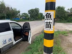 张贴小广告手机号被停机 手机号被强制停机 怎么办