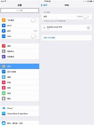 ios自动跳过启动广告软件