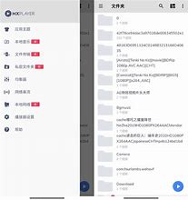 mx播放器无广告专业版下载