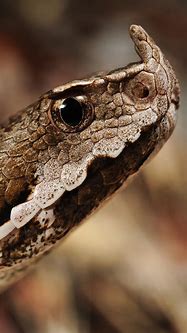 python 基础教程