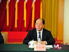 刘涛为安全感代言 携手金立m7共同进阶