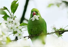 运用photoshop制作手机广告 运用Photoshop制作手机广告