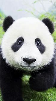 手机QQ浏览器广告过滤白名单与过滤