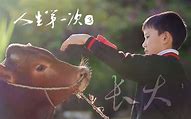 手机每一次点开软件都会经常出现这些广告 就会弹出一个5秒强制广告 该怎么处理