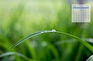手机日历都是广告与日历