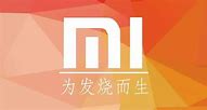 如何评价小米「我们有李有范」的广告文案？